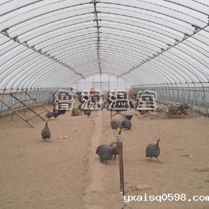 养殖温室