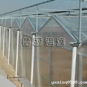 阳光板温室