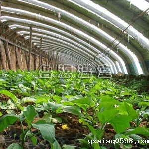 蔬菜大棚温室