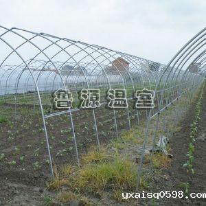 蔬菜大棚温室