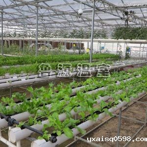 蔬菜大棚温室