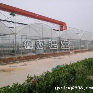 薄膜连栋温室