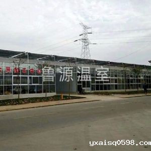 章丘大葱种植基地