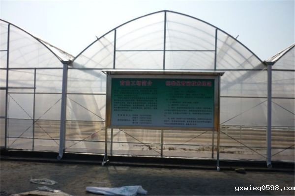 花卉连栋温室.jpg
