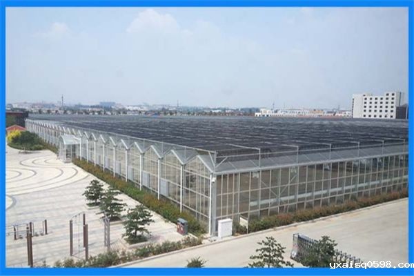 PC阳光板温室工程.jpg