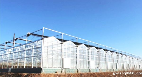 玻璃温室建设公司_meitu_12.jpg