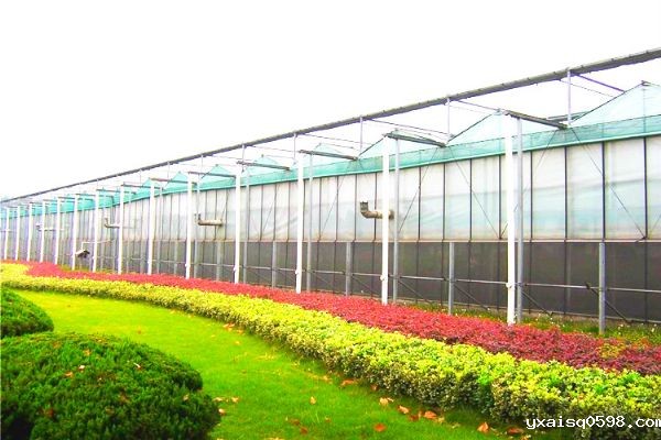 玻璃温室大棚造价_meitu_6.jpg