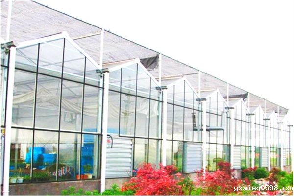 玻璃温室大棚价格_meitu_9.jpg