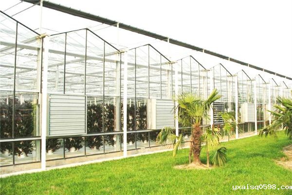 玻璃温室大棚厂家_meitu_5.jpg