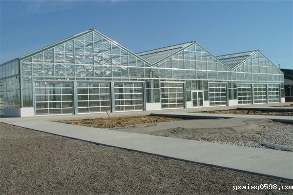 玻璃温室大棚建设.jpg