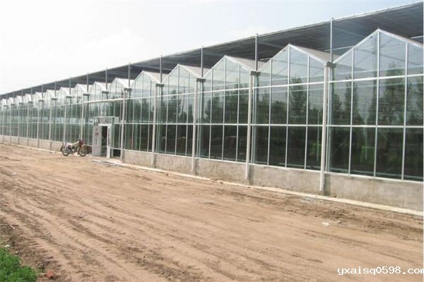 玻璃温室大棚.jpg