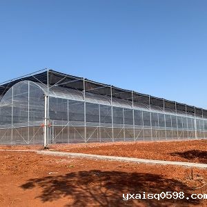连栋薄膜温室