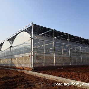 连栋薄膜温室