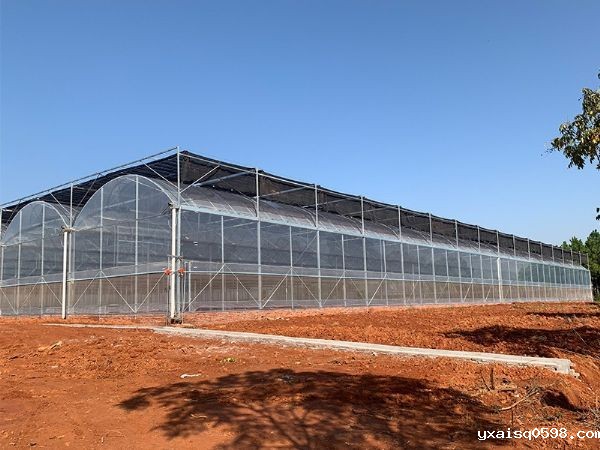 薄膜大棚.jpg