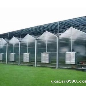 阳光板温室